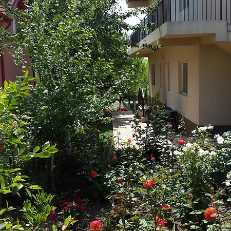 Irina Mamaia Nord Năvodari