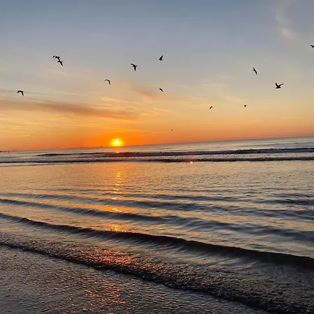 Irina Mamaia Nord 3*