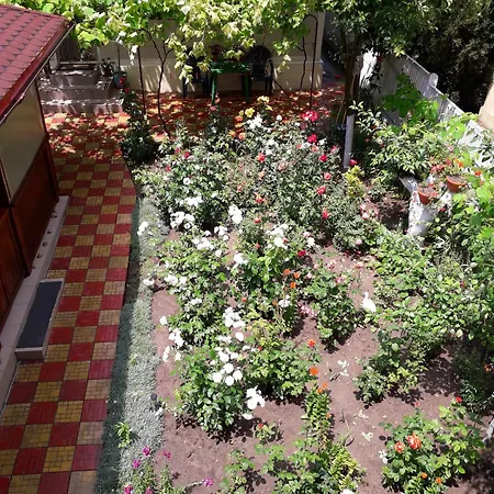 Irina Mamaia Nord Gasthof 3*